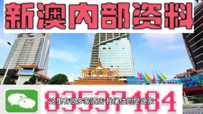 新澳门正版免费资料怎么查，澳门正版免费资料查询指南