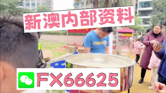 澳门正版免费全年资料大全旅游团，澳门正版免费全年旅游团资料大全