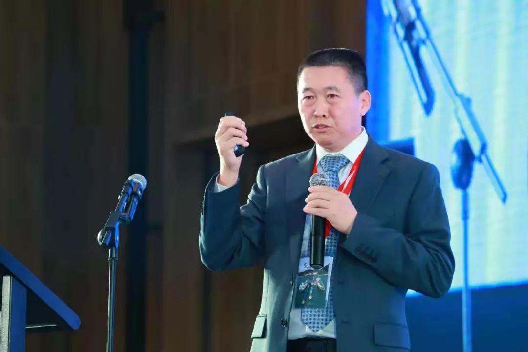 2025新奥免费资料，2025新奥免费资料概览