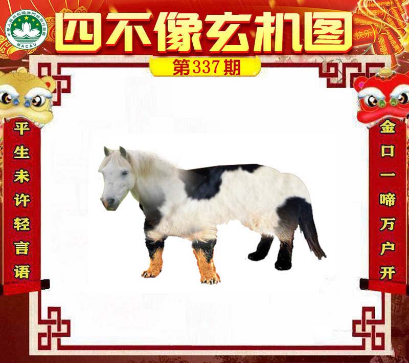 今晚必中一肖一码四不像，揭秘彩票背后的秘密，揭秘彩票背后的秘密，今晚必中一肖一码四不像的真相