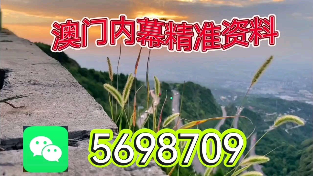 『2025新澳天天正版资料大全』一网打尽最新资讯，2025新澳天天正版资料大全，最新资讯一网打尽