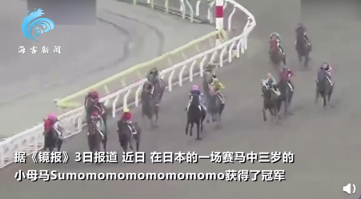 7777788888精准马会传真图，精准马会传真图揭秘，77777与88888的神秘解读