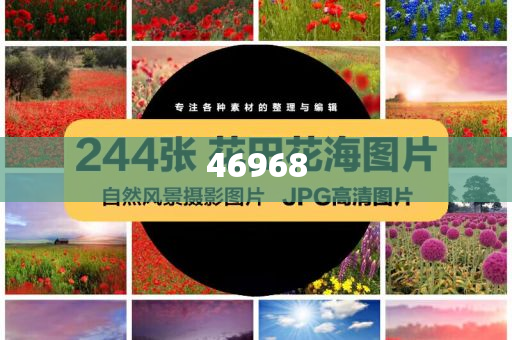 正版资料免费大全