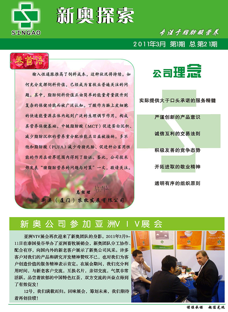 2025新澳正版资料最新更新解析，2025新澳正版资料最新更新解析及运用指南