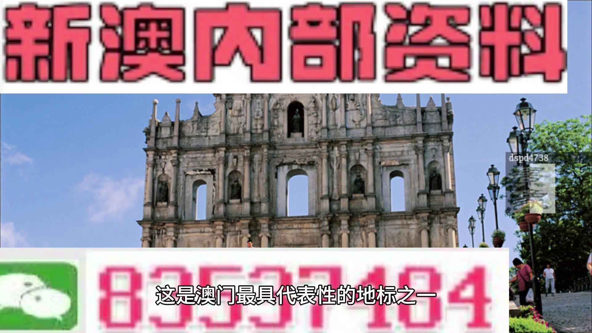 新澳门期期免费资料，澳门最新免费资料分享