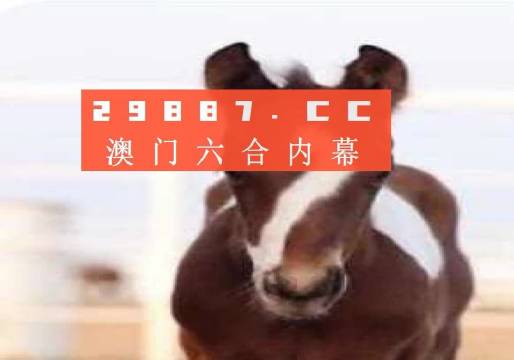 澳门一肖一码100，揭秘与解析，澳门一肖一码揭秘与解析，探索背后的秘密与真相