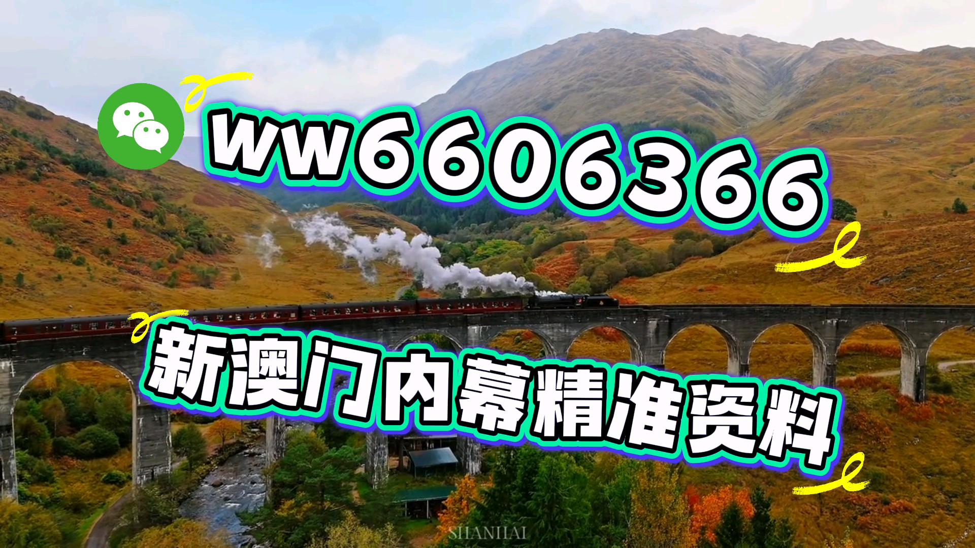 新澳门今晚开奖结果开奖，澳门今晚开奖结果揭晓