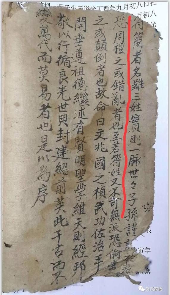 二肖四码资料，揭秘数字背后的秘密，揭秘二肖四码数字背后的秘密