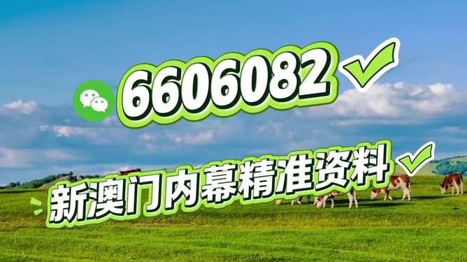 2025澳门特马今晚开奖历史，澳门特马今晚开奖历史回顾 2025年数据揭晓
