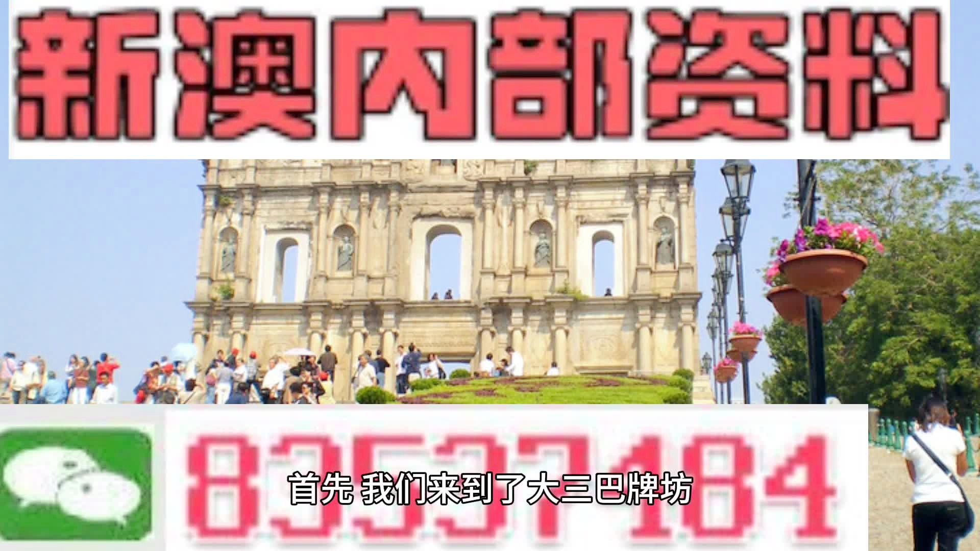 新澳门免费资料大揭秘，澳门免费资料大揭秘，最新信息一网打尽