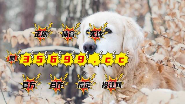 揭秘4949澳门彩开奖结果—全面解析与热门语言解读，揭秘4949澳门彩开奖结果，全面解析与语言解读指南