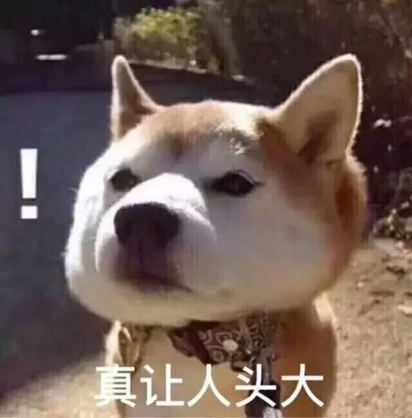 狗撕作业表情包