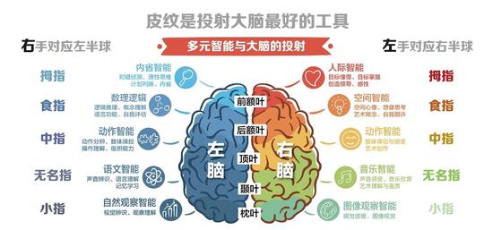 7777788888精准跑狗图特色，7777788888精准跑狗图，特色解析