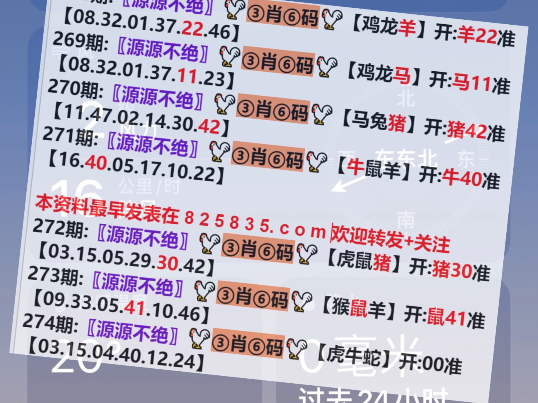 开奖风云解析