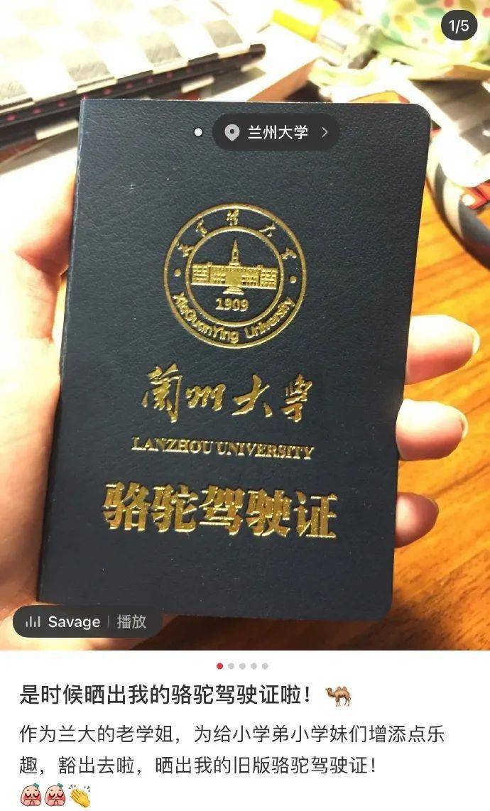学生持证骑骆驼上学？兰州大学回应