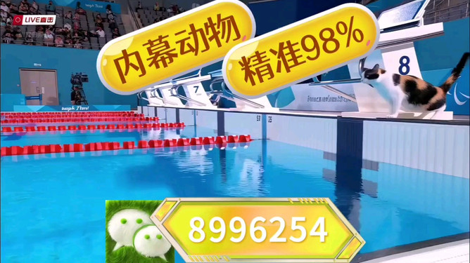 揭秘澳门王中王彩票奥秘，2025年100%期期中预测，澳门王中王彩票奥秘揭秘，预测期期中的秘密与真相