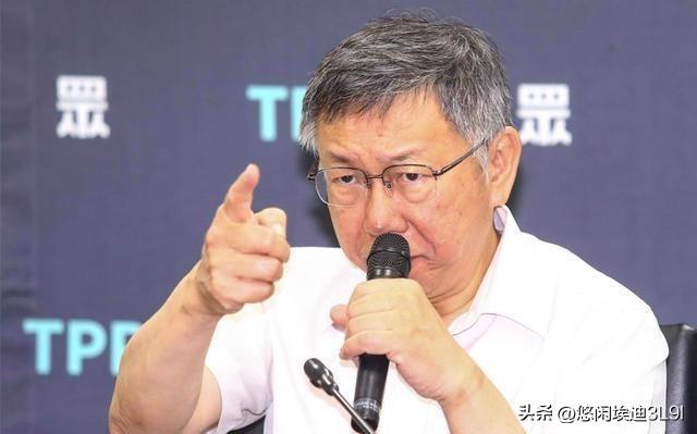 郑丽文是谁