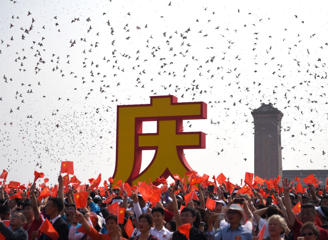 放飞回家的鸽子的视频