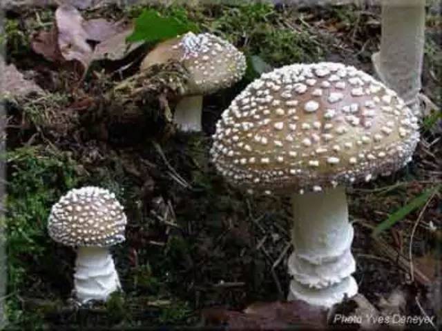 热点生活 第68页